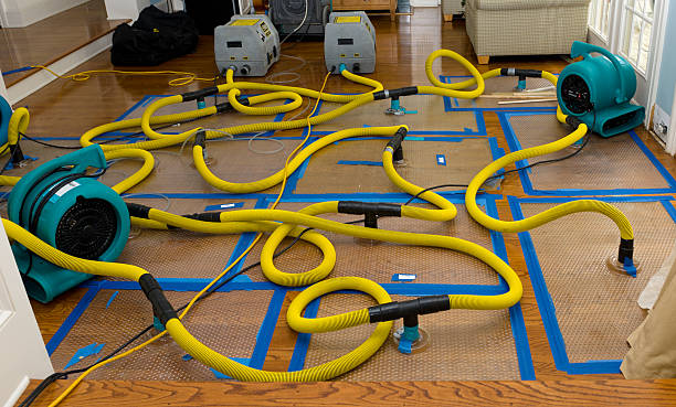 Professional Crawl Space Water Removal technician working in Henderson, MI